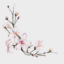 Love How Dainty This Is Florals Are Soo Pretty Blossom Tattoo Cherry Blossom Tattoo Sakura Tattoo