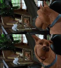 Take A Berry Break 40 Photos Scooby Doo Movie Scooby Doo Scooby Doo Mystery Incorporated