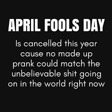 Dazi Photography On Twitter In 2020 Funny Quotes Sarcastic Quotes Just For Laughs