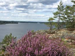 It is on the border to stockholm county, and a minor part of gnesta is in södertälje municipality. Gnesta 2021 Best Of Gnesta Sweden Tourism Tripadvisor