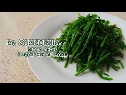 Finalmente ho trovato questa alga fresca, chiamata asparagi di mare o anche salicornia. Salicornia O Asparagi Di Mare Youtube