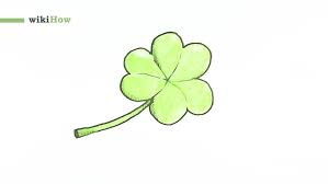 Next, draw two more clover leaves or petals like so, then proceed to the next step. Video How To Draw A Clover Wikihow