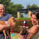 Goat Yoga - Addison Circle Park!