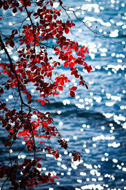 Zennitude Zen Attitude Photographe Nature Belle Nature Photos Paysage