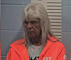 WOMAN WHO FOSTERED OVER 200 CHILDREN FACING DISTURBING ABUSE ALLEGATIONS  LINCOLN COUNTY, MO — A woman from Winfield, Missouri, who's reportedly  fostered over 200 children, is now under fire for a series