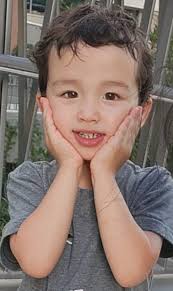 Battle Creek Lakeview Class Of 1976