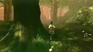 Interact with each statue only four times and it will suddenly turn daytime and the house will be real, and unlocked. Sunset House Fable 3 Wiki Guide Ign