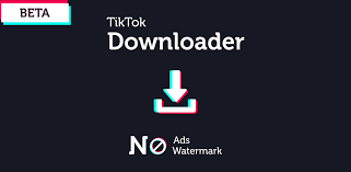 A fake 'tiktok pro' app is spyware that can steal passwords, read text messages and take screenshots, a security firm says. Tiktok Downloader No Ads 2 1 0 Apk Download Com Xihuny Tiktokdownloader Apk Free