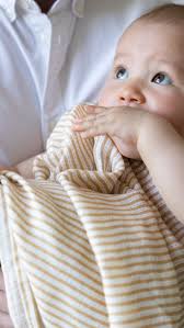 Image result for tbn:ZmxTz4tzjnsxqM::www.berceaumagique.com/produits/b/b_ange-sanguine-6f.gif