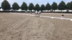 Christopher six and totem de brecey. Ffe Equipes De France Chio Aachen Detente Totem De Brecey Facebook