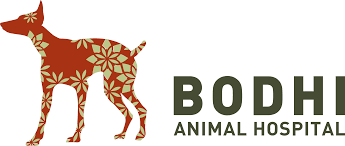 Download Bodhi Animal Hospital Logo Png Transparent Svg Vector Freebie Supply