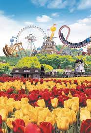 Everland Theme Park Korea South Korea Travel Theme Park Korea Travel