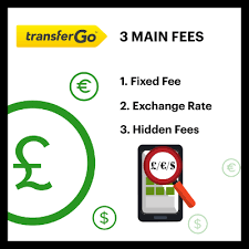 The cash card is a free visa card that is attached to the funds within the app that can be used like a regular debit card. Transfergo Review Uncovered Trust Them 7 Must Knows