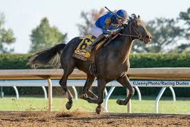 & bonus sunday picks get the new york sheet's expertise for the big races and we deliver the winners and the big prices you will receive an email friday with all of the weekend's horse racing picks and we have had a nice triple crown run we had. 2020 Shoemaker Mile Free Pick Santa Anita Horse Betting