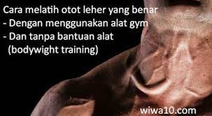 Bagaimana Cara Melatih Otot Leher Yang Benar Supaya Kuat Dan Kokoh Melatih Otot Body Combat