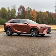 Image result for Copper Crest 2024 RZ