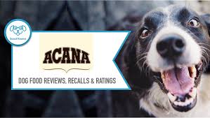 Acana Dog Food Reviews Buyers Guide Scout Knows