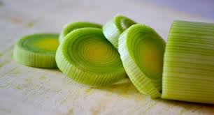 Como plantar alho-poró em vasos ou canteiros - Blog Plantei