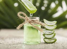 Pour this mixture over the top of your head. Top 9 Aloe Vera Hair Masks For Hair Growth Wild About Beauty