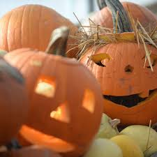 Half Term Halloween Pumpkin Picking Around Newcastle And North East In 2020 Chronicle Live