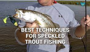Best Techniques For Speckled Trout Fishing Trout Fishing Tips Trout Fishing Bait Fish