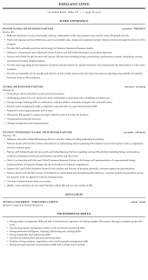 Global Hr Business Partner Resume Sample Mintresume
