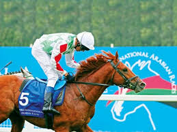France To Host Uae President S Cup World Series For Purebred Arabian Horses Horse Racing Gulf News