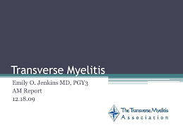 Anterior horn cell abnormalities ! Ppt Transverse Myelitis Powerpoint Presentation Free Download Id 1913486