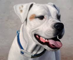 Stop musing now, freeze the photos of your family's fluffy member afresh with a handmade painting made by professional artists. Pet Portraits By Real Artists Paintyourlife