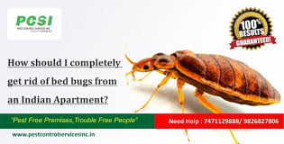 Join our more than 500,000 happy customers. Bed Bug Control Completely Get Rid Of Bed Bugs From An Indian Apartment