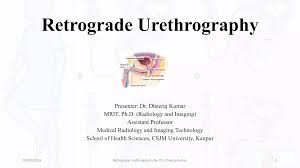 Image result for Retrograde Urethrogram