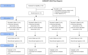 consort 2010 flow diagram