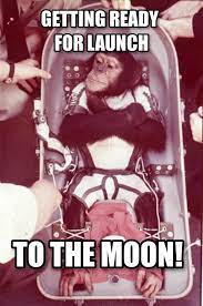 Amc's 'apes' gave it a lifeline. Amc Apes Ready For Launch Album On Imgur