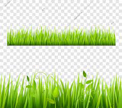 Green And Bright Grass Border Tileable Transparent With Plants Flat Isolated Vector Illustration Grass Vector Vector Free Background Images Wallpapers
