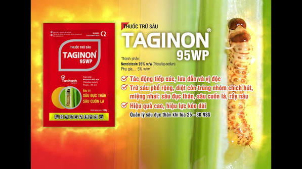 Taginon 95WP