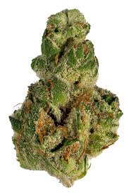 Strain abbreviations at the bottom of b are as follows: Gmo Strain Hybrid Cannabis Video Review Thc Terpenes Hytiva