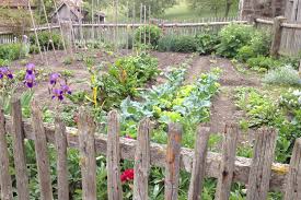 Die Besten Tipps Fur Einen Selbstversorger Garten Native Plants Gartenblog