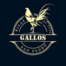 gallos de cuarto de torreón y sus alrededores