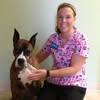 Veteriner ve evcil hayvan bakımevi. Pet Care Clinic Linkedin