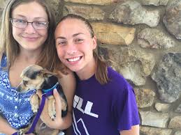 Blue trimerle lilacs available text 7472686559 for more information. How To Adopt A Pet For Practically Free In The Inland Empire Press Enterprise