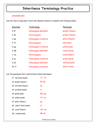 5 Inheritance Terminology Answer Key Docx Inheritance Teacher Lessons Worksheets