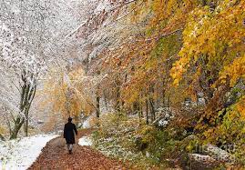 Feb 26 or late night 25. Fall Vs Winter Which One Is More Picturesque Local Pulse Indian Articles News