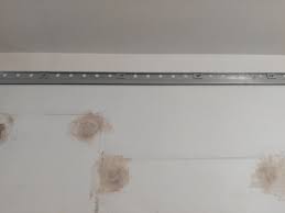 Quelle Est La Charge Maximale Pouvant Etre Supportee Par Le Rail De Fixation Metod De Ikea Sur Un Mur En Beton Dur Resolu 4 Messages