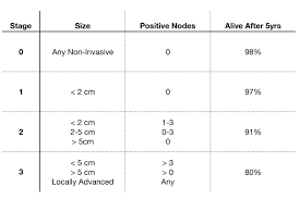 Image result for Breast Cancer Staging