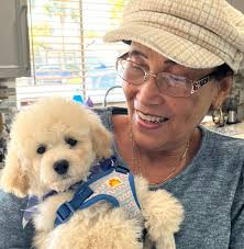 What transportation options are available for traveling with an infant