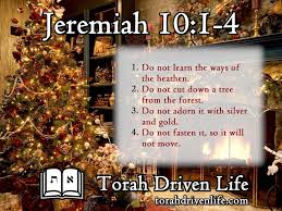 Why I Do Not Celebrate Christmas Understanding The Bible Christmas Celebrations Bible Knowledge