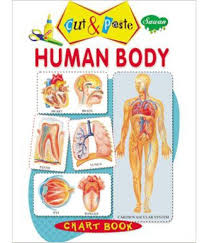 Human Body Chart Book