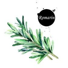 Recettes Par Ingredients Comment Dessiner Une Fleur Illustration De Fruits Aquarelle Florale