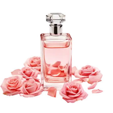 Ilustrasi Parfum Parfum Merah Muda Parfum Wanita, Parfum, Botol Parfum, Parfum Wanita PNG Transparan dan Clipart untuk Unduhan Gratis