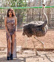 Ram Gopal Varma (@RGVzoomin)  X